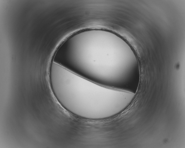 X0000097951191200803241011