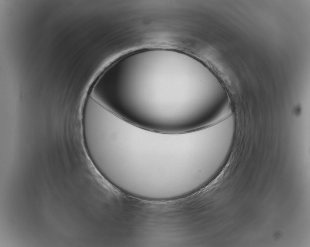 X0000097951192200803241011