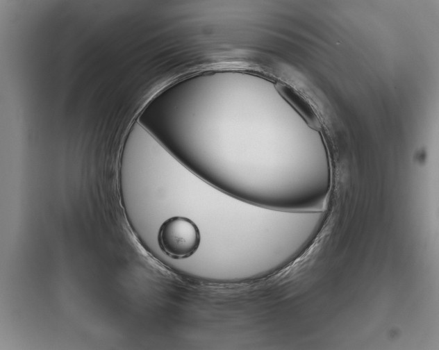 X0000097951193200803241011