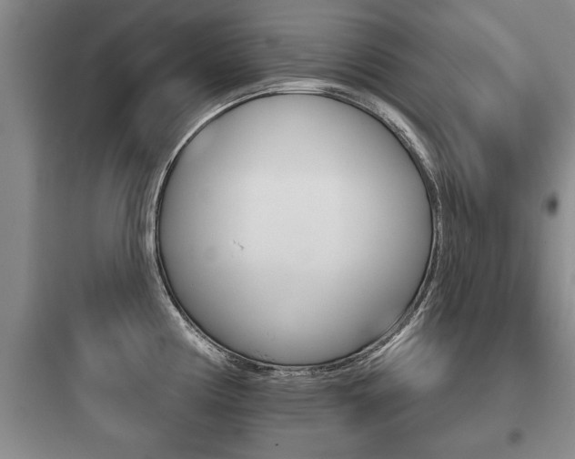 X0000097951194200803241011