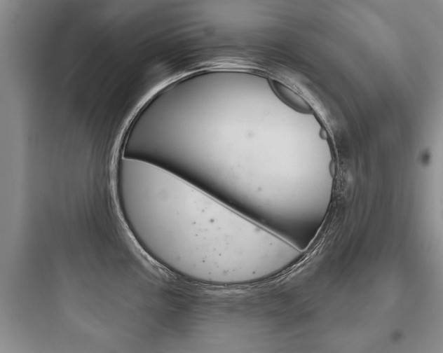 X0000097951195200803241011