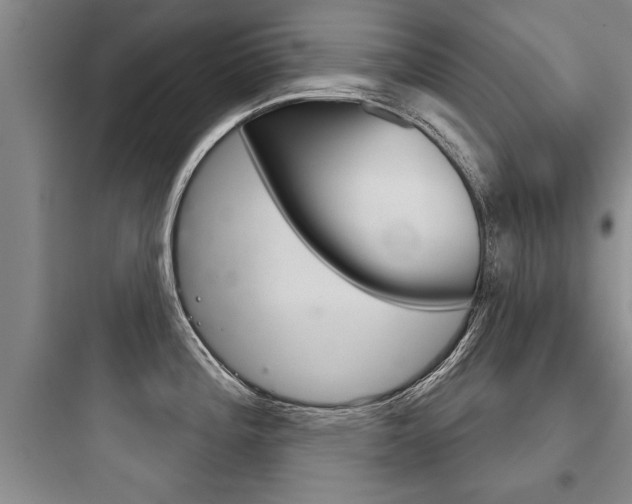 X0000097951196200803241011
