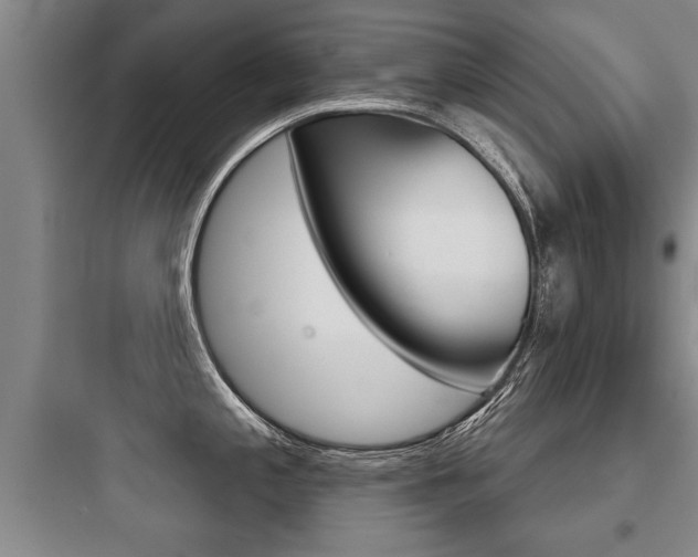 X0000097951197200803241011