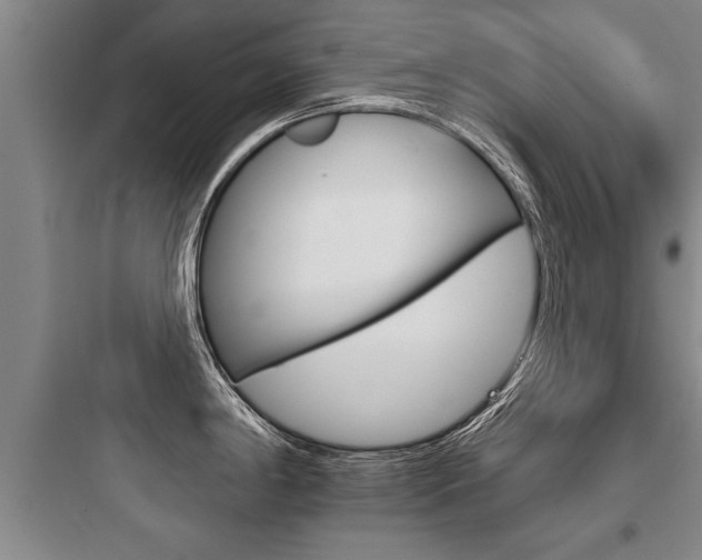 X0000097951198200803241011