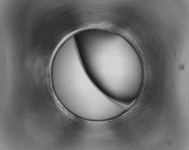 X0000097951200200803241011