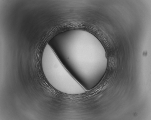 X0000097951202200803241011