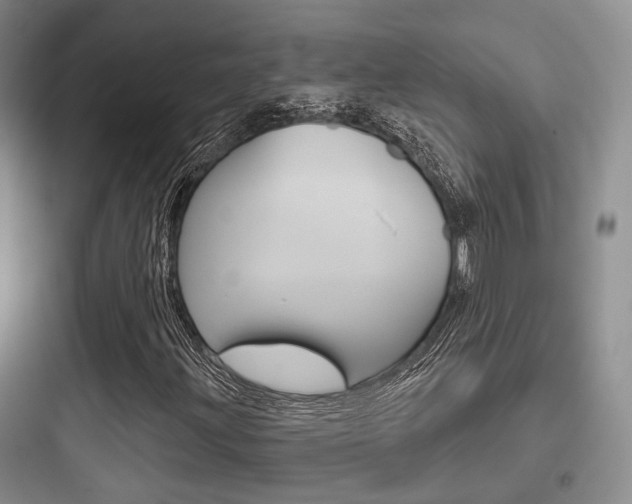 X0000097951203200803241011