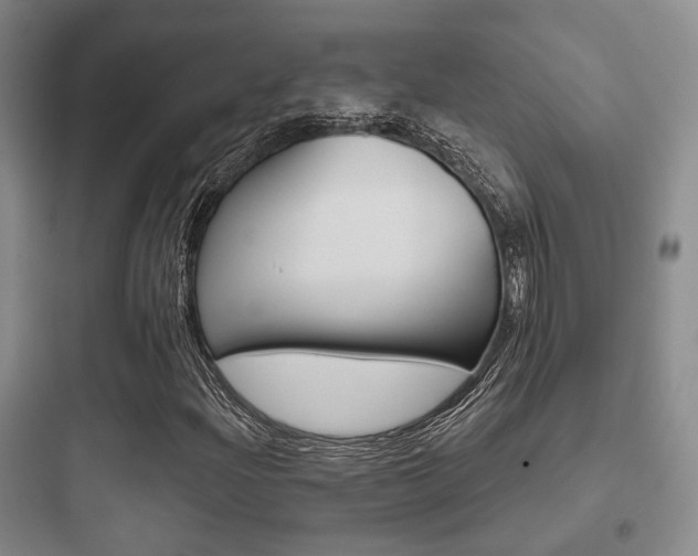 X0000097951204200803241011