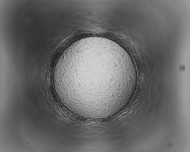 X0000097951205200803241011