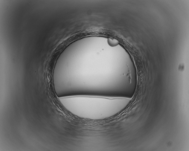 X0000097951206200803241011