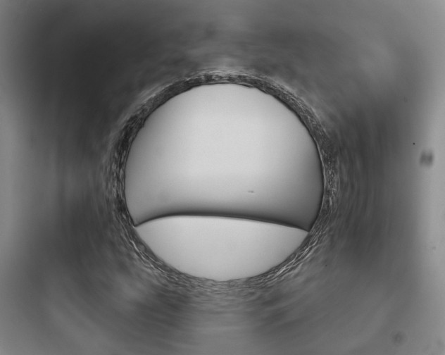 X0000097951207200803241011