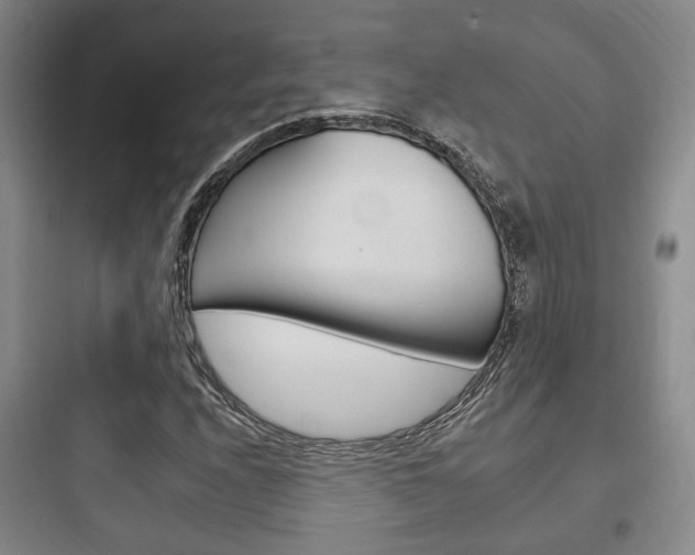 X0000097951208200803241011
