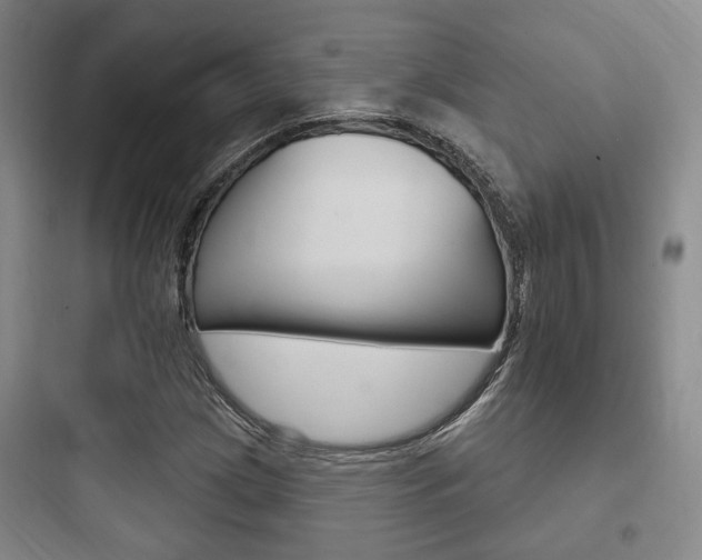 X0000097951209200803241011