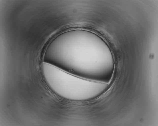 X0000097951210200803241011