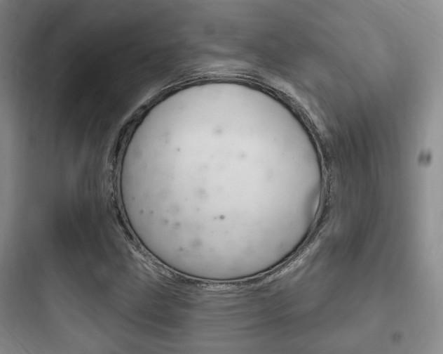 X0000097951211200803241011