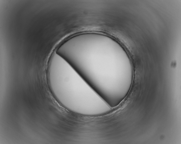 X0000097951212200803241011