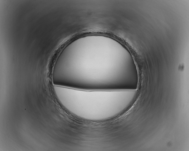 X0000097951213200803241011