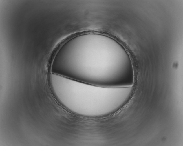 X0000097951214200803241011
