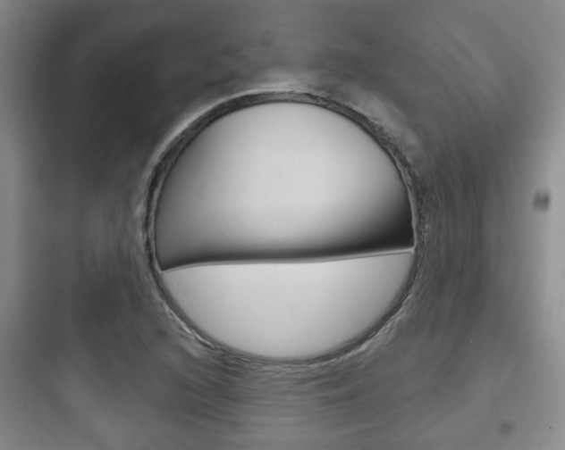 X0000097951216200803241011