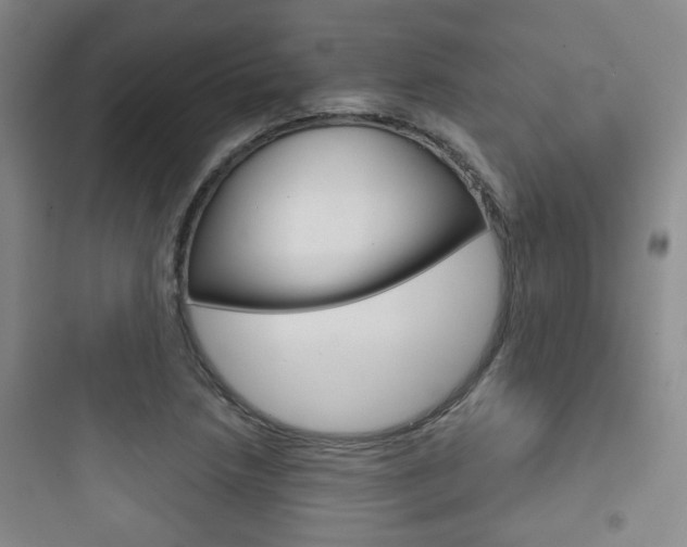 X0000097951218200803241011