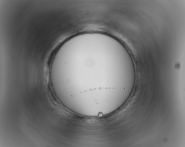 X0000097951219200803241011