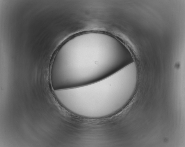 X0000097951220200803241011