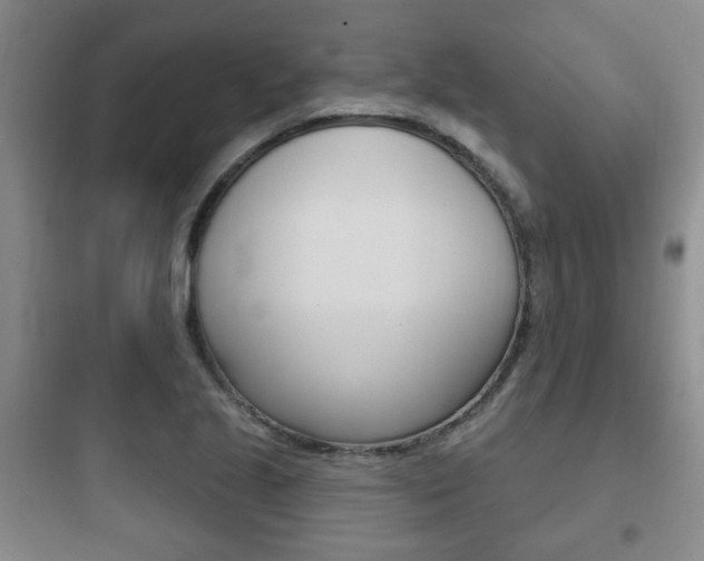 X0000097951221200803241011
