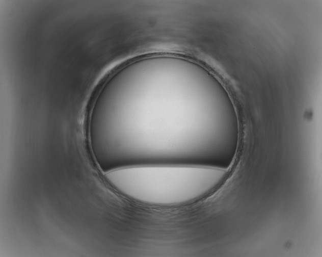 X0000097951222200803241011