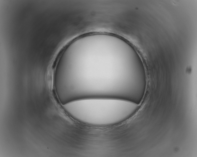 X0000097951223200803241011