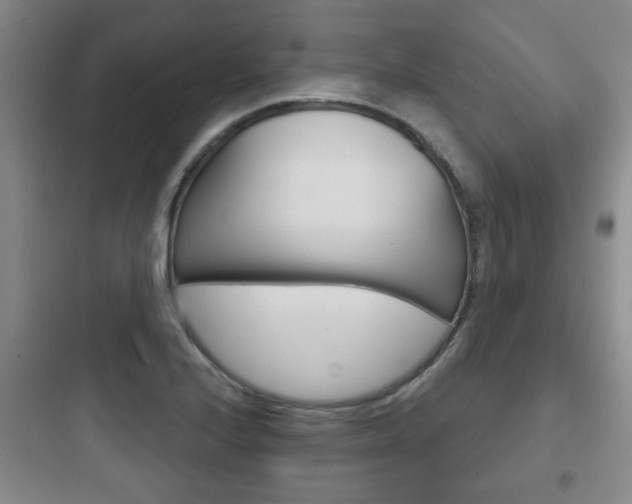 X0000097951224200803241011