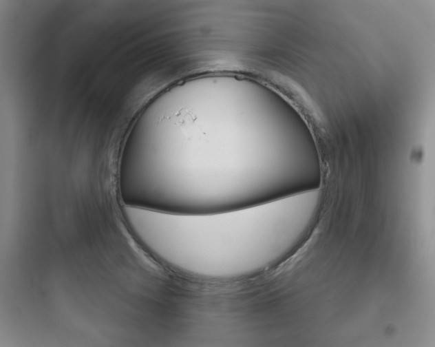 X0000097951225200803241011