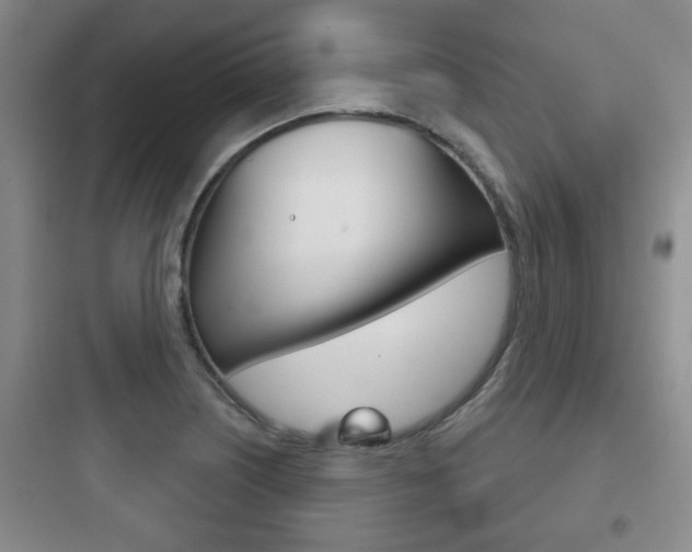 X0000097951226200803241011
