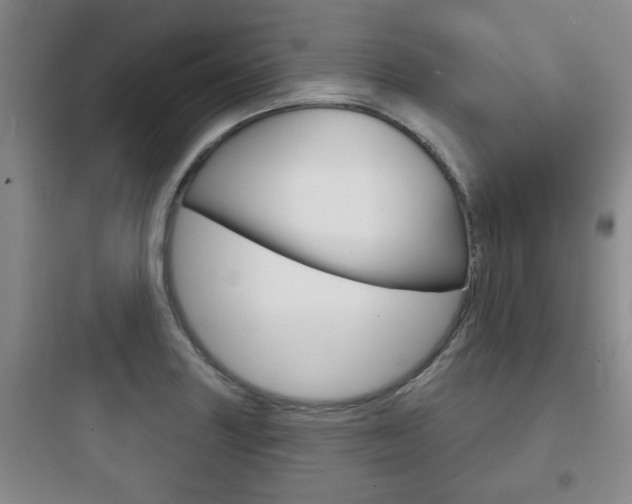 X0000097951227200803241011