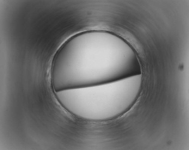 X0000097951228200803241011