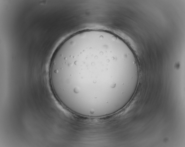 X0000097951231200803241011