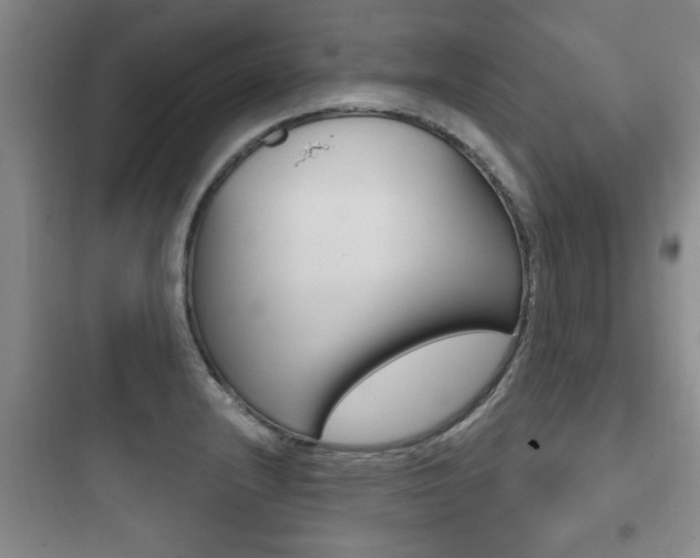 X0000097951232200803241011