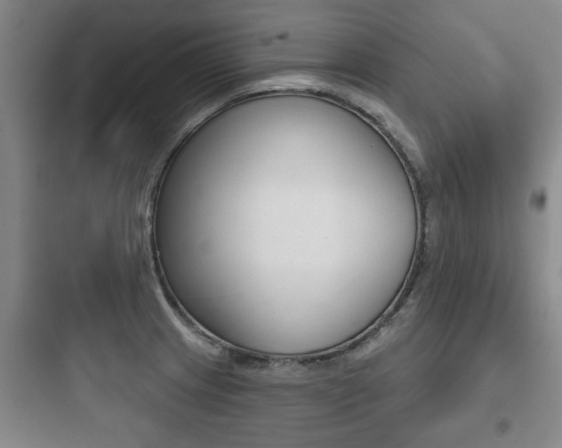X0000097951233200803241011