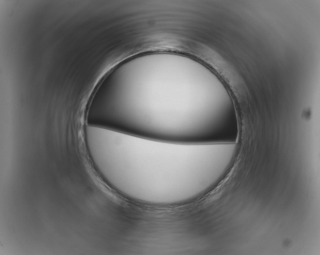X0000097951234200803241011