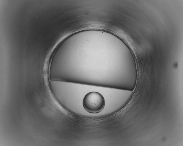 X0000097951235200803241011