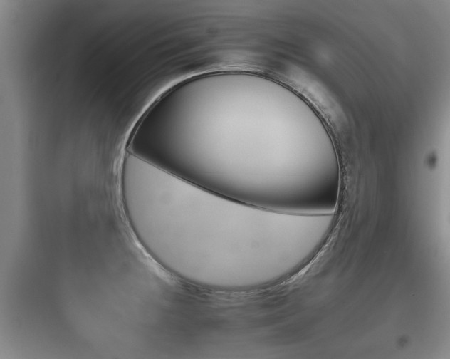 X0000097951236200803241011