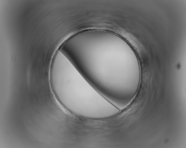 X0000097951237200803241011