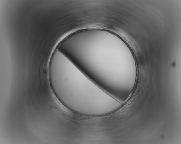 X0000097951238200803241011