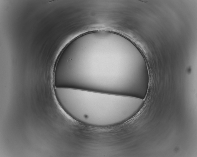 X0000097951239200803241011