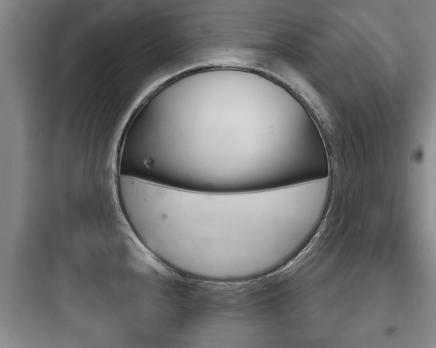 X0000097951240200803241011