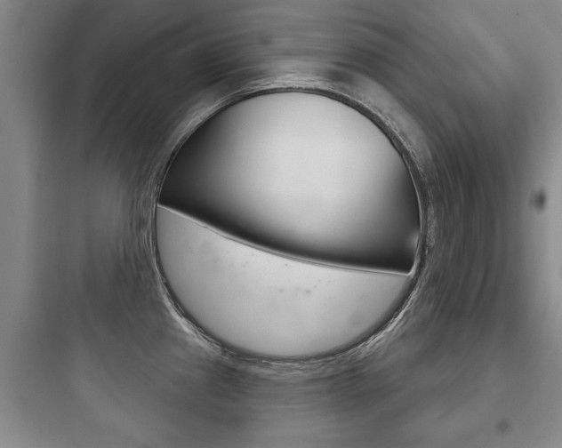 X0000097951241200803241011