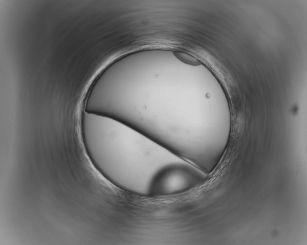 X0000097951243200803241011