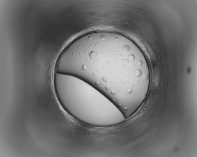 X0000097951245200803241011