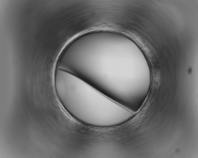 X0000097951246200803241011