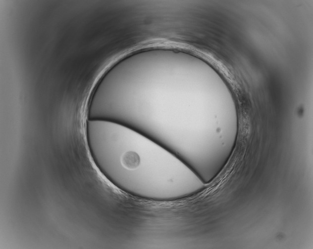 X0000097951247200803241011