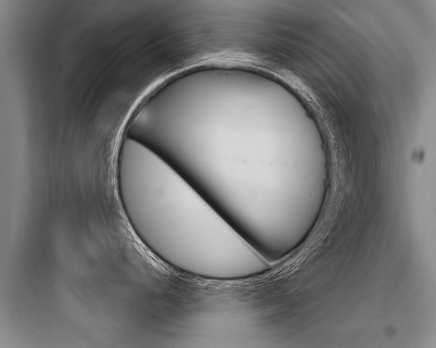 X0000097951248200803241011